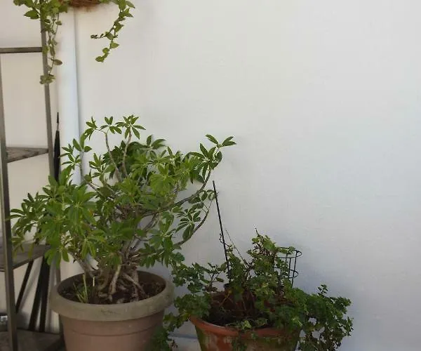 Terraco Da Boavista بورتو