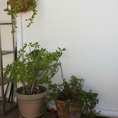 Terraco Da Boavista Porto